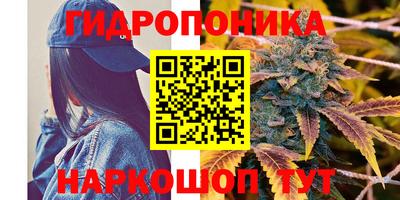 a pvp Бугуруслан