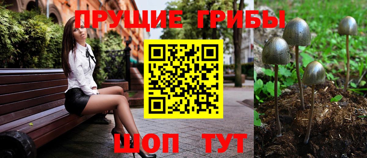 Галлюциногенные грибы мухоморы  Вход с VPN  Россошь 