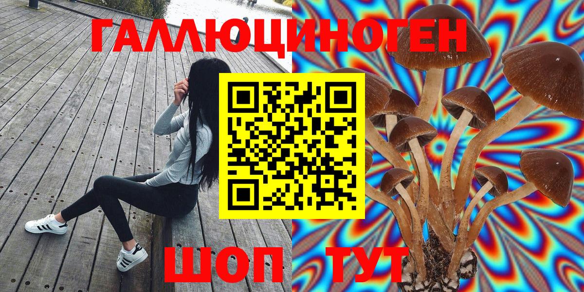 Псилоцибиновые грибы MAGIC MUSHROOMS Россошь